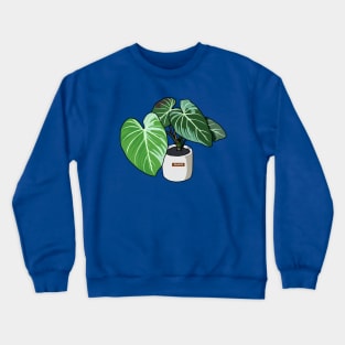 Philodendron Plants Crewneck Sweatshirt